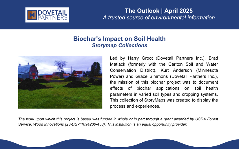 The Outlook | April 2025